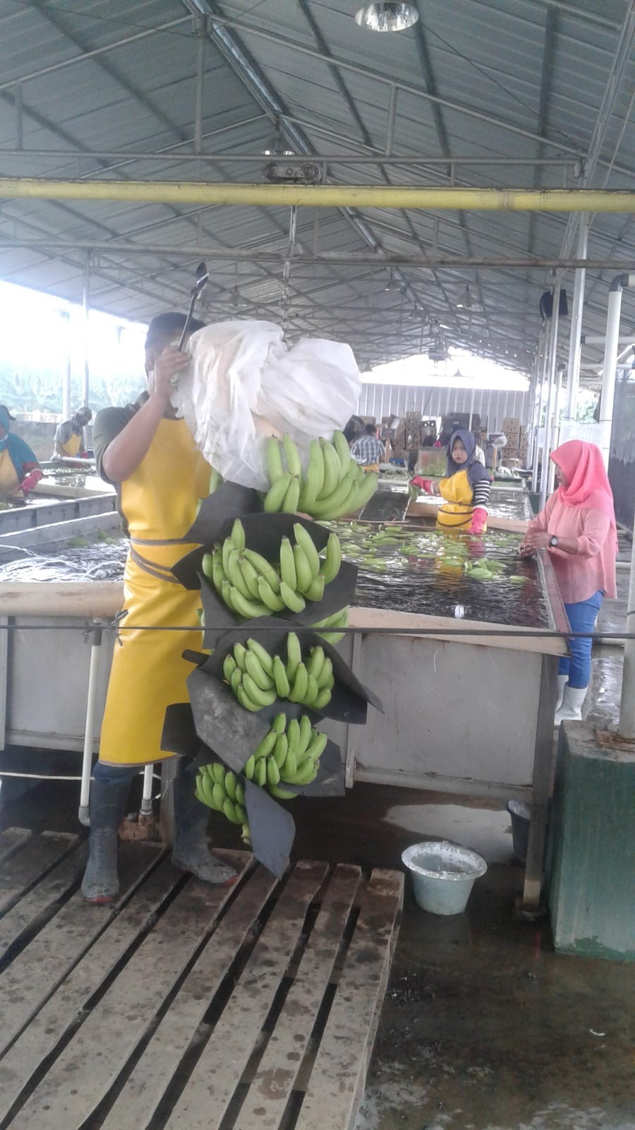 $rows[judul]